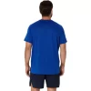 CAMISETA DE MANGA CORTA ASICS PLATA