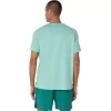 CAMISETA DE MANGA CORTA ASICS PLATA CAMISETA DE MANGA CORTA ASICS PLATA