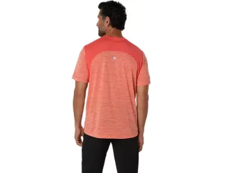 CAMISETA DE MANGA CORTA ROAD