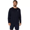 CAMISETA DE MANGA LARGA ASICS PLATA CAMISETA DE MANGA LARGA ASICS PLATA
