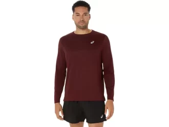 CAMISETA DE MANGA LARGA ASICS PLATA