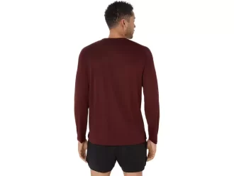 CAMISETA DE MANGA LARGA ASICS PLATA