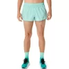 Pantalón corto ASICS Silver Split