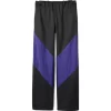 PANTALÓN DE LIATRISORÍA