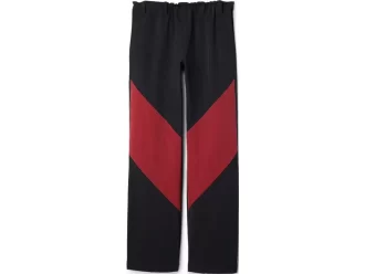 PANTALÓN DE LIATRISORÍA
