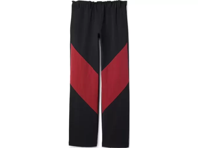 PANTALÓN DE LIATRISORÍA