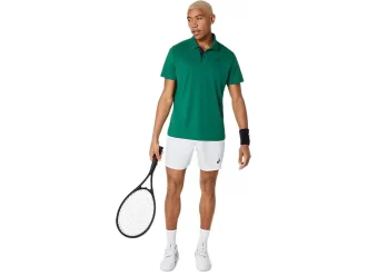 POLO DE LA CORTE