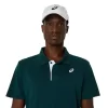 POLO DE LA CORTE