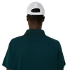 POLO DE LA CORTE