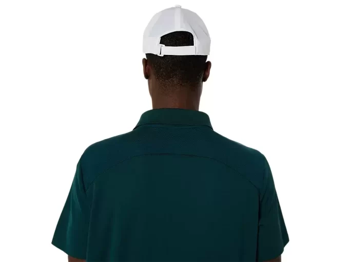 POLO DE LA CORTE