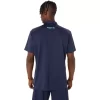 Polos secos con gráfico HEX de ASICS Polos secos con gráfico HEX de ASICS